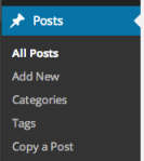 The tags section is right under categories.